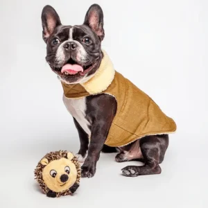Flash Sale Hedgehog faball Dog Toy from Fabdog - Pet Home | The Perfect Pet Supplies Shopping Experience Pet Toys