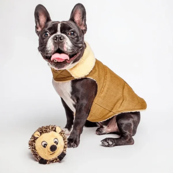 Flash Sale Hedgehog faball Dog Toy from Fabdog - Pet Home | The Perfect Pet Supplies Shopping Experience Pet Toys