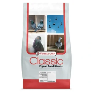 Store Higgins Versele-Laga Classic Pigeon Food 15% No Corn - Pet Home | The Perfect Pet Supplies Shopping Experience Shop All
