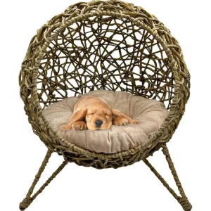 23" High Elevated Weaved Cat and Small Dog Bed: Brown - Pet Home | The Perfect Pet Supplies Shopping Experience
