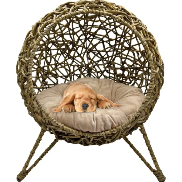 23" High Elevated Weaved Cat and Small Dog Bed: Brown - Pet Home | The Perfect Pet Supplies Shopping Experience