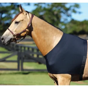 Best Horsemaster Lycra Shoulder Guard - Pet Home | The Perfect Pet Supplies Shopping Experience Shop All