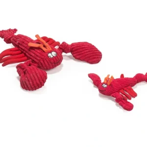 Shop HuggleHounds Lobsta Knottie - Small - Pet Home | The Perfect Pet Supplies Shopping Experience Pet Toys