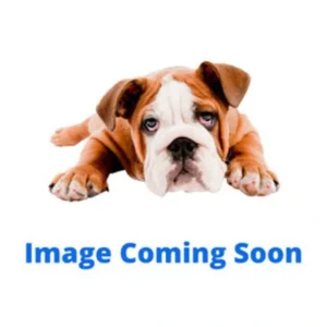 2-in-1 Gnome Head Toy - Pet Home | The Perfect Pet Supplies Shopping Experience