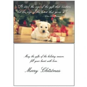 Store It Isnt The Size Greeting Card - Pet Home | The Perfect Pet Supplies Shopping Experience Shop All