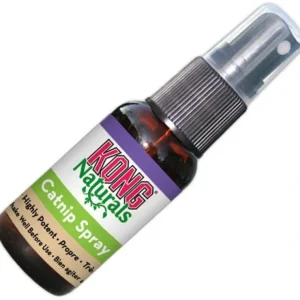 Store KONG CatNip Spray - Pet Home | The Perfect Pet Supplies Shopping Experience Pet Toys
