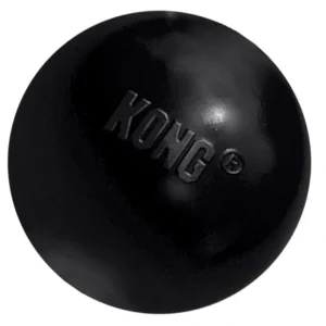 New KONG Extreme Ball Dog Toy - Pet Home | The Perfect Pet Supplies Shopping Experience Pet Toys