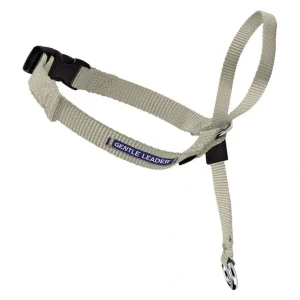 Discount Leader - Beige - Medium - Pet Home | The Perfect Pet Supplies Shopping Experience Pet Toys
