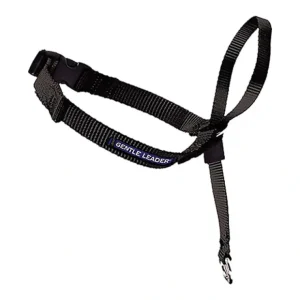 Fashion Leader - Black - Large - Pet Home | The Perfect Pet Supplies Shopping Experience Pet Toys