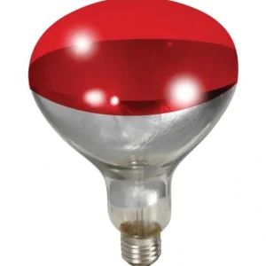Store LITTLE GIANT RED HEAT LAMP BULB - Pet Home | The Perfect Pet Supplies Shopping Experience Shop All