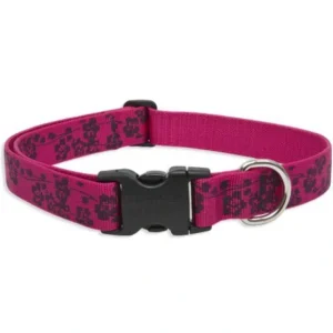Sale Lupine 12-20 Large Dog Collar Plum Blossum 1 inch thick, Adjustable 12-20 inches - Pet Home | The Perfect Pet Supplies Shopping Experience Dogs