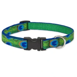 Shop Lupine 9-14 Medium Dog Collar Tail Feathers 3/4 inch thick, Adjustable 9-14 inches - Pet Home | The Perfect Pet Supplies Shopping Experience Dogs