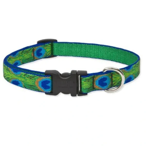 Shop Lupine 9-14 Medium Dog Collar Tail Feathers 3/4 inch thick, Adjustable 9-14 inches - Pet Home | The Perfect Pet Supplies Shopping Experience Dogs