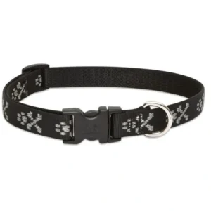 Best Lupine 15-25Medium Dog Collar Bling Bonz 3/4 inch thick, Adjustable 15-25 inches - Pet Home | The Perfect Pet Supplies Shopping Experience Dogs