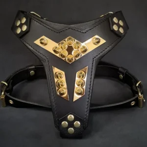 ''Midas'' leather dog harness gold medium size - Pet Home | The Perfect Pet Supplies Shopping Experience