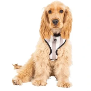 Cheap Mog and Bone Latte Hamptons Stripe Harness for dogs - Pet Home | The Perfect Pet Supplies Shopping Experience Dogs