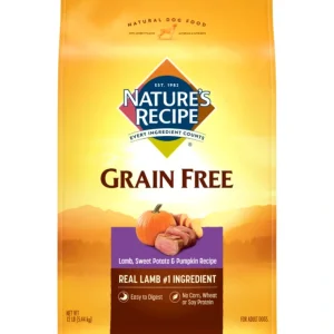 Discount Nature's Recipe Grain Free Lamb, Sweet Potato &Pumpkin Dry Dog Food - Pet Home | The Perfect Pet Supplies Shopping Experience Dogs