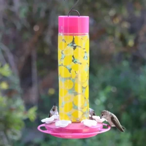 Best Nature's Way Hummingbird Lemonade Stand Feeder - Pet Home | The Perfect Pet Supplies Shopping Experience Shop All