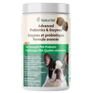 Best Sale NaturVet, Advanced Probiotics & Enzymes - 65 ct - Pet Home | The Perfect Pet Supplies Shopping Experience Dogs