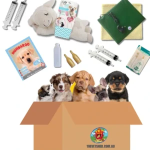 Shop Neonatal Puppy Starter Kit - Pet Home | The Perfect Pet Supplies Shopping Experience Dogs