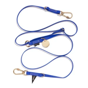 Sale New! Water Resistant Adjustable 7ft Leash, Bright Blue | Found My Anim - Pet Home | The Perfect Pet Supplies Shopping Experience Dogs