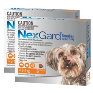 Cheap Nexgard Small Dog 2.4 kg pack of 12 (2 x 6 packs) - Pet Home | The Perfect Pet Supplies Shopping Experience Dogs