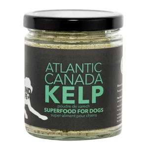 Store North Hound Life, Organic Kelp - 250 ml - Pet Home | The Perfect Pet Supplies Shopping Experience Shop All