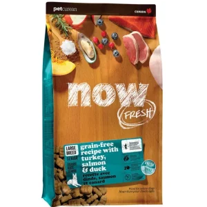 Shop NOW FRESH, Senior GF Large Breed - 11.3 kg - Dry Dog Food - Pet Home | The Perfect Pet Supplies Shopping Experience Dogs