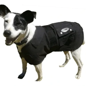 Store Nullabor Oilskin Dog Coat - Pet Home | The Perfect Pet Supplies Shopping Experience Shop All