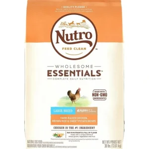 Store Nutro Wholesome Essentials Large Breed Puppy Farm-Raised Chicken, Brown Rice &Sweet Potato Dry Dog Food - Pet Home | The Perfect Pet Supplies Shopping Experience Shop All