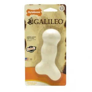 Outlet Nylabone Galileo Chew Bone Dog Toy - Pet Home | The Perfect Pet Supplies Shopping Experience Pet Toys