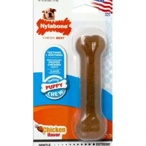 Cheap Nylabone Puppy Bone Chicken Regular - Pet Home | The Perfect Pet Supplies Shopping Experience Pet Toys