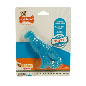 Store Nylabone, Puppy Dino - Chicken - Regular - Pet Home | The Perfect Pet Supplies Shopping Experience Pet Toys