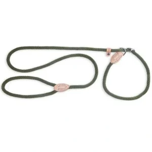 Store Olive Mountain Rope Slip Lead - Small - Pet Home | The Perfect Pet Supplies Shopping Experience Dogs