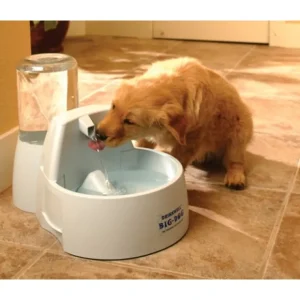 Sale Pet Shop Direct - Drinkwell Big Dog Pet Fountain 8.5 Litres - Pet Home | The Perfect Pet Supplies Shopping Experience Dogs