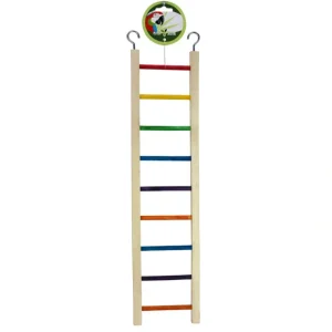 Pet Shop Direct - Green Parrot Bird Ladder 50cm - Pet Home | The Perfect Pet Supplies Shopping Experience Best