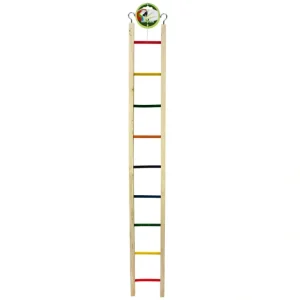 Pet Shop Direct - Green Parrot Bird Ladder 95cm - Pet Home | The Perfect Pet Supplies Shopping Experience Store