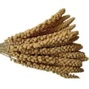 Best Pet Shop Direct - Panorama Millet Sprays 500g - Pet Home | The Perfect Pet Supplies Shopping Experience Shop All
