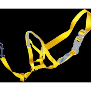 Pet Shop Direct - PetLife Halti Head Collar Blue Medium - Pet Home | The Perfect Pet Supplies Shopping Experience Store