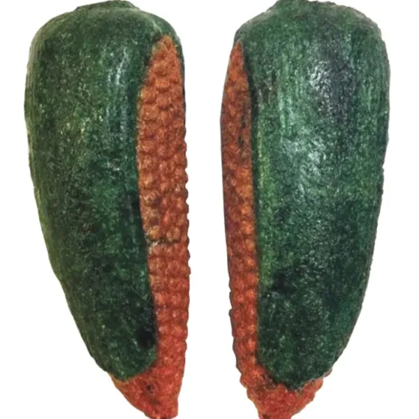 Pet Shop Direct - Veggie Patch Edible Corn Nibblers 2 Pack - Pet Home | The Perfect Pet Supplies Shopping Experience Store