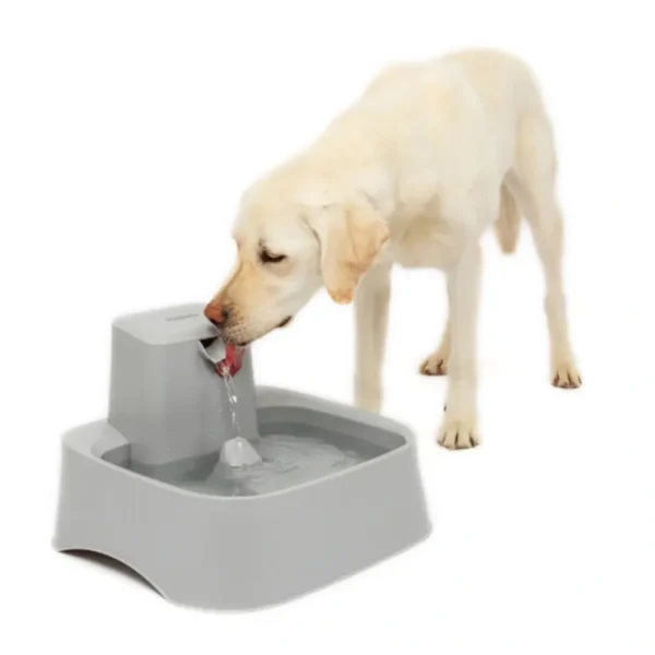 Petsafe Drinkwell 7.5L Pet Fountain - Pet Home | The Perfect Pet Supplies Shopping Experience