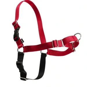 PetSafe Easy Walk Harness, No Pull Dog Harness - Pet Home | The Perfect Pet Supplies Shopping Experience