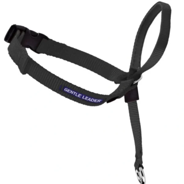 Petsafe Gentle Leader Quick Release Black Headcollar for Dogs - Pet Home | The Perfect Pet Supplies Shopping Experience