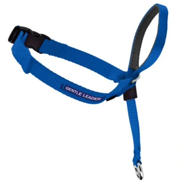 Petsafe Gentle Leader Quick Release Royal Blue Headcollar for Dogs - Pet Home | The Perfect Pet Supplies Shopping Experience
