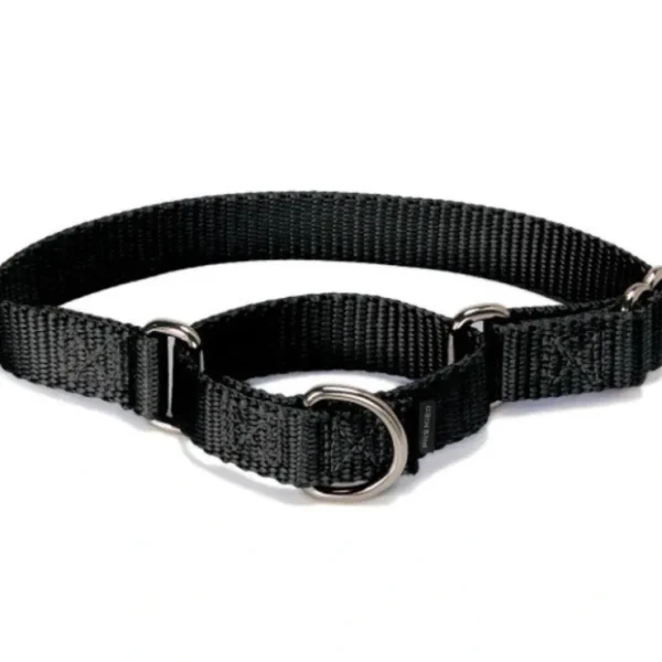 PetSafe Martingale Collars Black - Pet Home | The Perfect Pet Supplies Shopping Experience