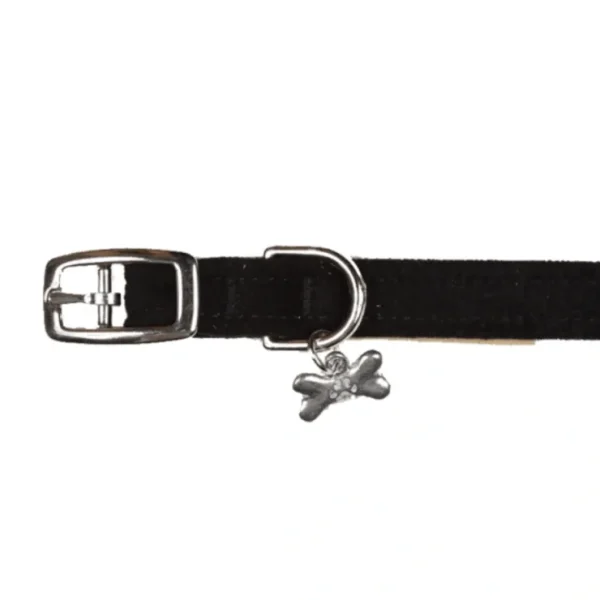 1/2" Plain Collar from Susan Lanci Designs - Pet Home | The Perfect Pet Supplies Shopping Experience