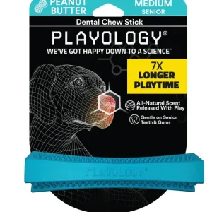 Playology Dental Chew Stick Dog Toy - Pet Home | The Perfect Pet Supplies Shopping Experience