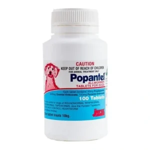 Popantel Allwormer Tablets for Dogs 10kg 100 pack - Pet Home | The Perfect Pet Supplies Shopping Experience