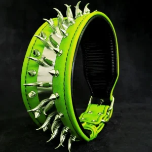 ''Predator'' collar in Green - Pet Home | The Perfect Pet Supplies Shopping Experience