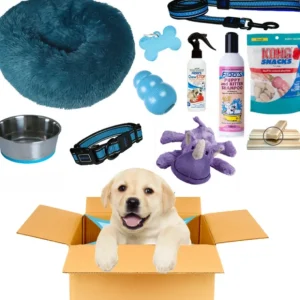 Puppy Pack Blue - Large Deluxe - Pet Home | The Perfect Pet Supplies Shopping Experience